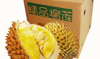 榴莲批发价1斤低至20元 榴莲批发价1斤低至20元