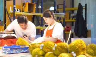 榴莲批发价1斤低至20元 榴莲批发价1斤低至20元