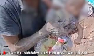 女婴吃泔水与狗同住 女婴吃泔水与狗同住