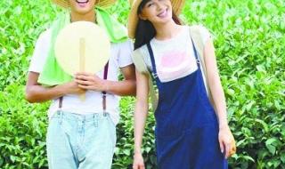 幸福的面条一共多少集 幸福的面条一共多少集