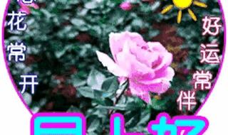 2023年兔年快乐动图 2023年兔年快乐动图