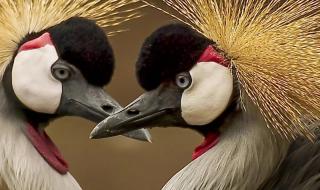 大自然真奇妙二年级写话 大自然真奇妙二年级写话