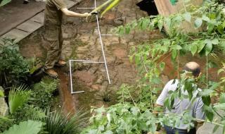 乐山一餐厅内发现恐龙足迹 乐山一餐厅内发现恐龙足迹