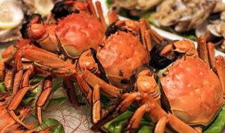 螃蟹的禁忌食物相克 螃蟹的禁忌食物相克