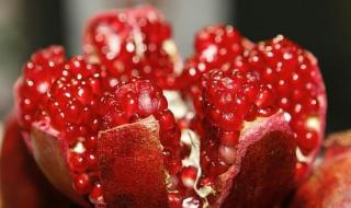 螃蟹的禁忌食物相克 螃蟹的禁忌食物相克