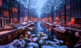 造雪机一天费用多少钱 造雪机一天费用多少钱