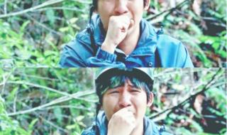 跟着贝尔去冒险第一季 跟着贝尔去冒险第一季